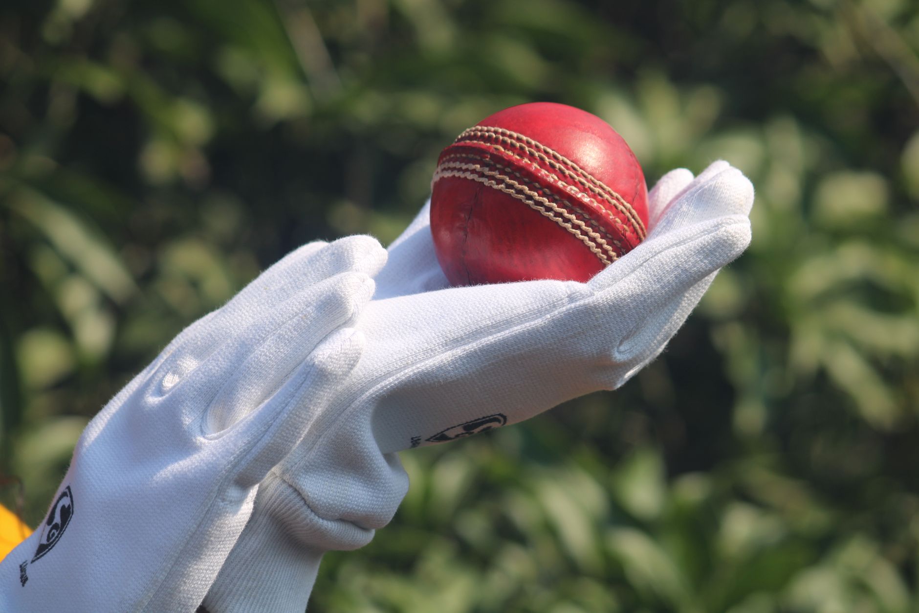 India Test ODI squads